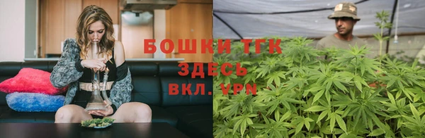 молекула духа Кулебаки