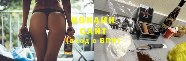 молекула духа Кулебаки