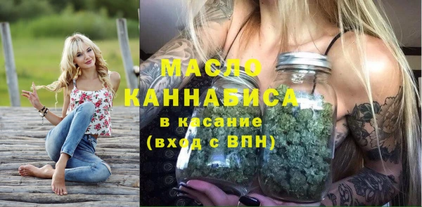 молекула духа Кулебаки