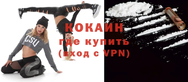 молекула духа Кулебаки