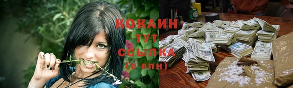 молекула духа Кулебаки