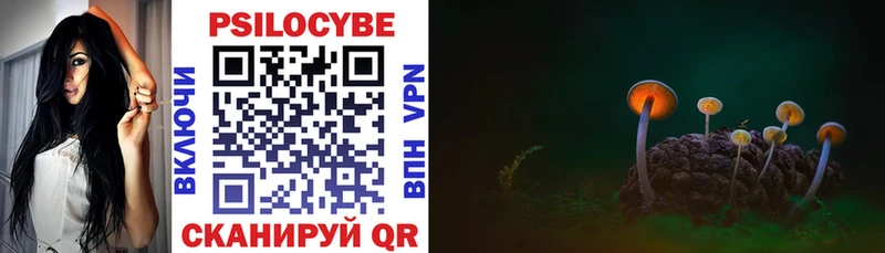 Купить где  Верхоянск  Псилоцибиновые грибы Psilocybine cubensis 